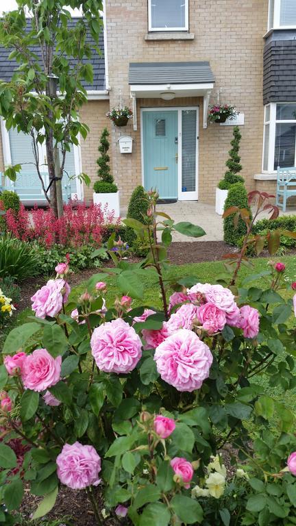 No.5 Bed & Breakfast Kilcullen Eksteriør billede